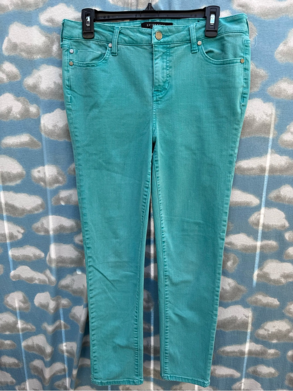 Liverpool Jeans Size 10 Teal Turquoise Stretch Skinny Colored Denim Pants